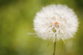 九游体育官网-“2025世界游泳锦标赛：谁能在水上芭蕾中一舞成名？”