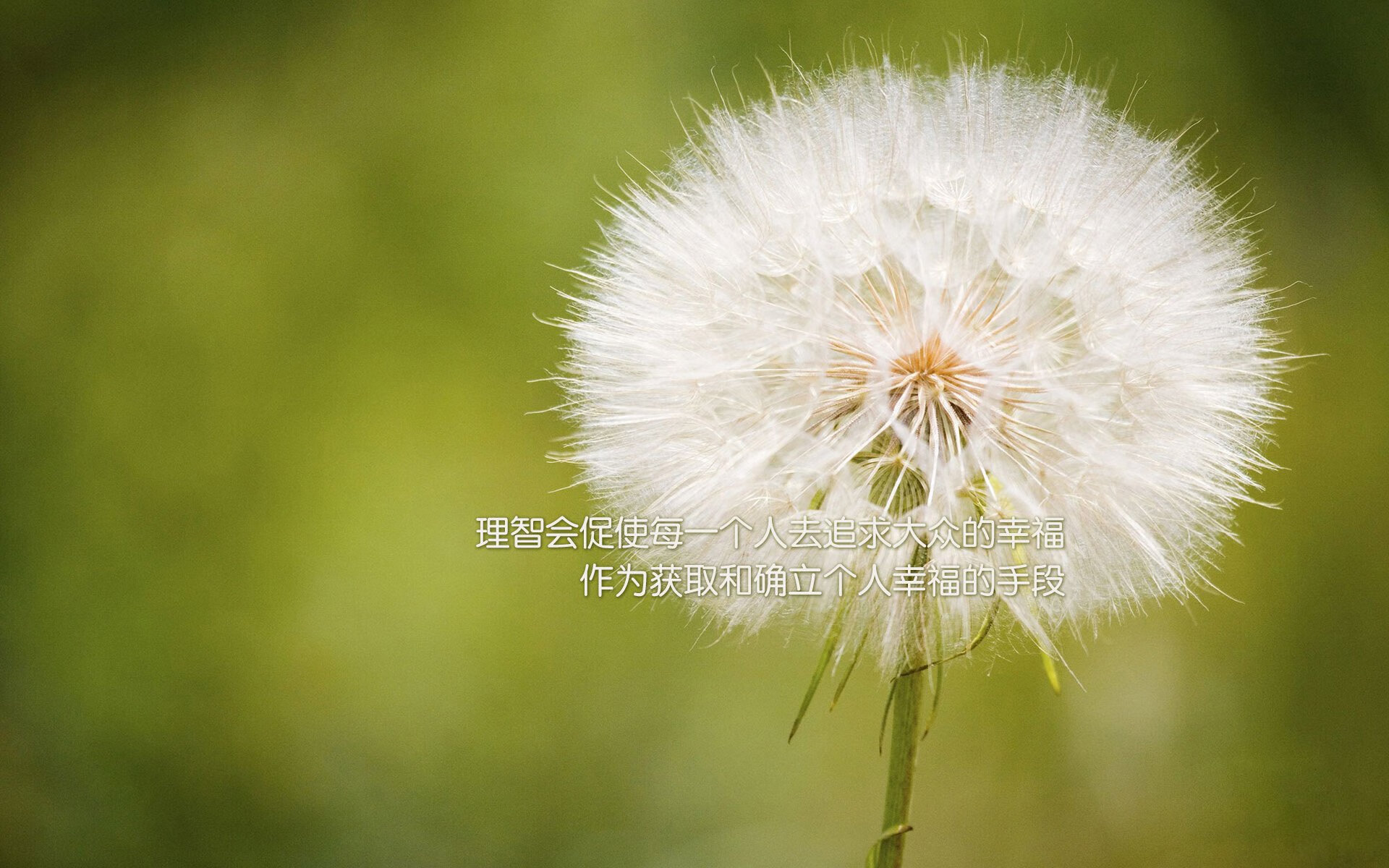 “2025世界游泳锦标赛：谁能在水上芭蕾中一舞成名？”