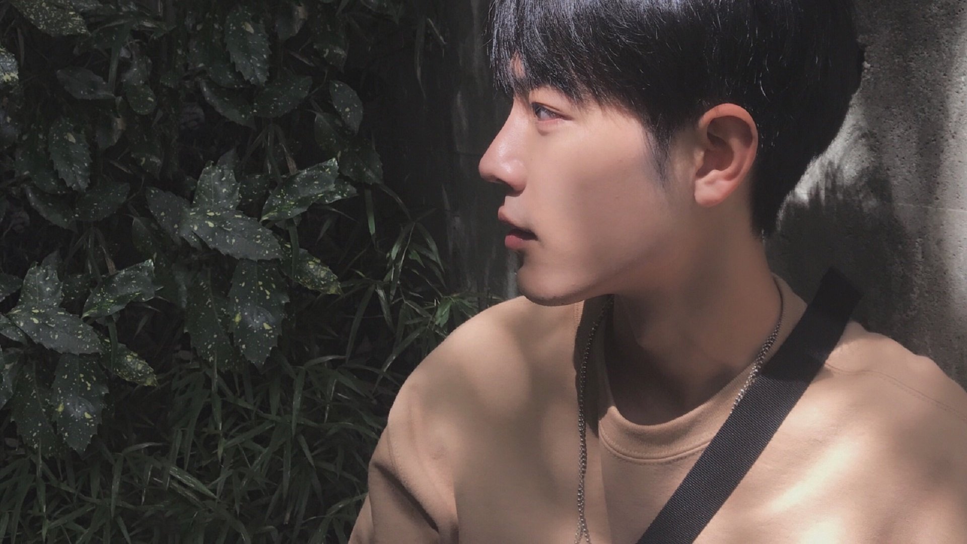 新加坡乒乓未来规划:如何通过加强团队合作提升整体表现,新加坡乒乓球国手