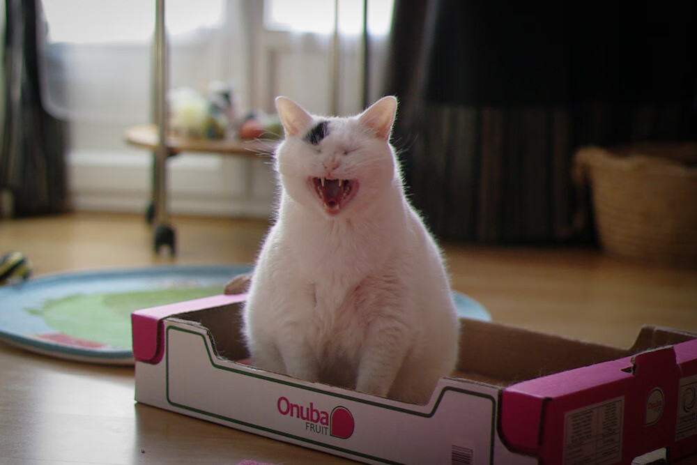 中国足球探索建立校园到职业的完整晋升通道，中国足球积弱多年,校园足球是返璞归真