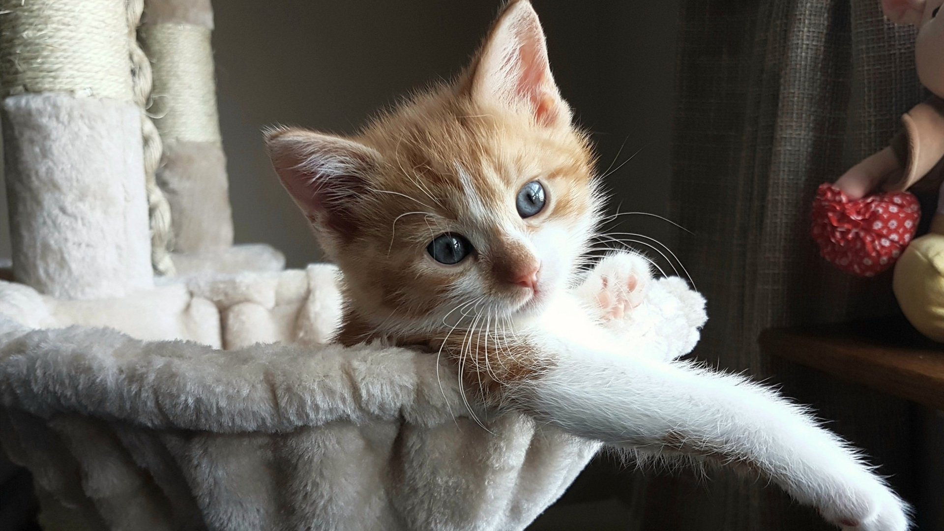 乌拉圭女篮在南美锦标赛中夺冠，体育事业不断迈上新台阶，乌拉圭3_0南非