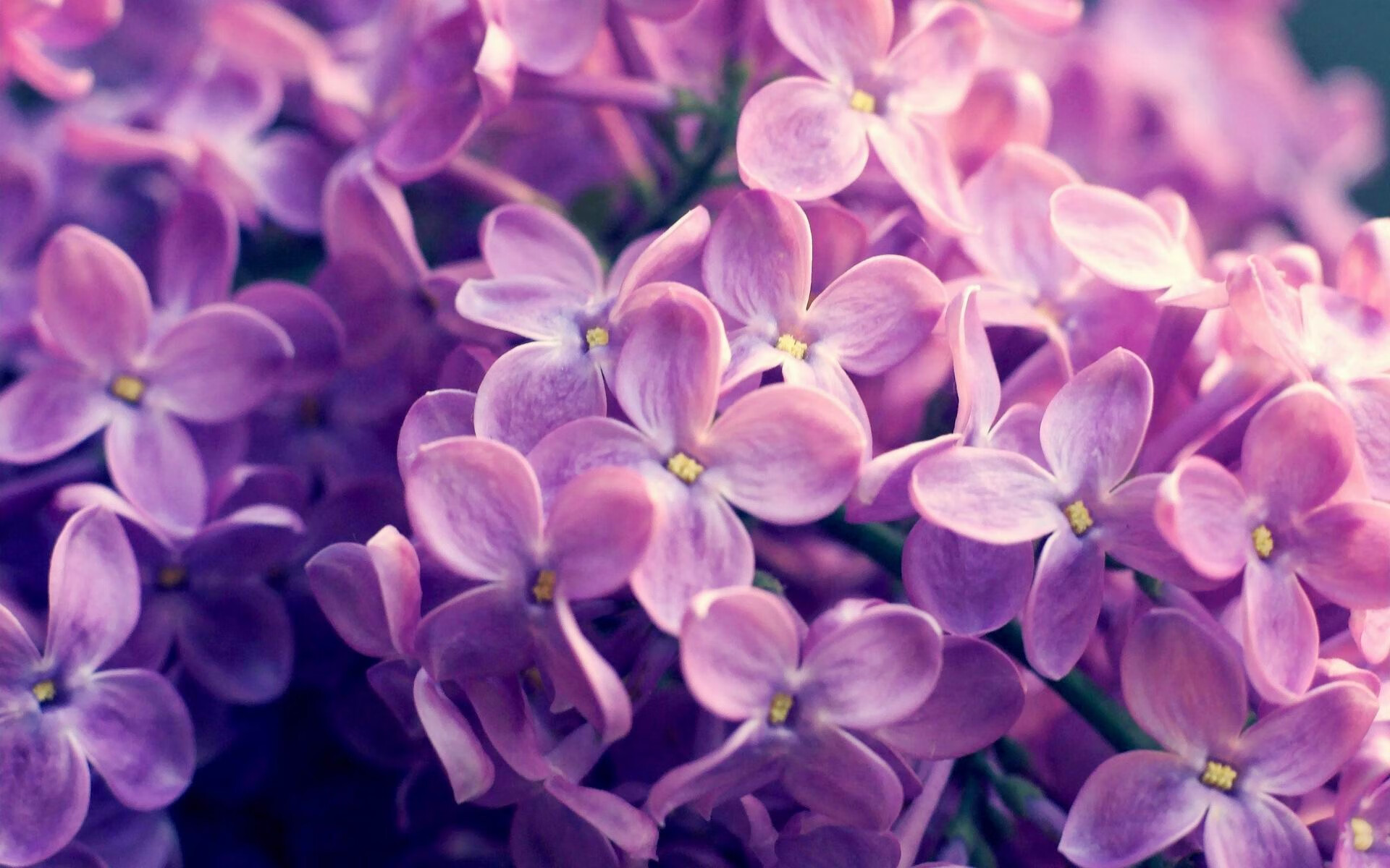 基层篮球组织获得政策扶持推动全民篮球持续繁荣发展,篮球基层赛是什么意思